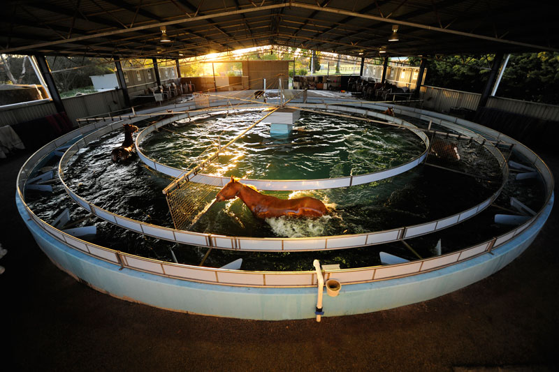 Fulmen Park Aquaciser Fulmen Park Aquaciser