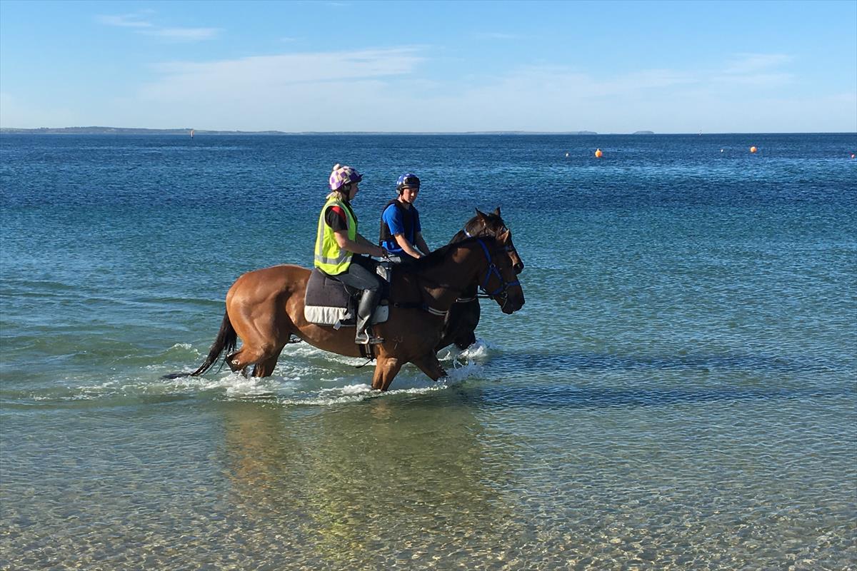 Wading at Balnarring Beach