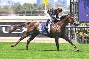 Midtown Boss, Flemington Jan 2024 Midtown Boss, Flemington Jan 2024