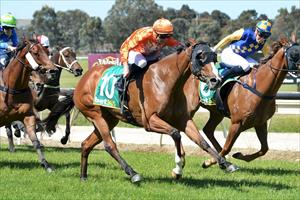 Riverina Cyclone & Daniel Stackhouse, Wodonga, Nov 2022 Riverina Cyclone & Daniel Stackhouse, Wodonga, Nov 2022