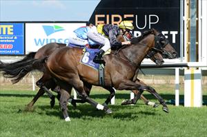  Tigerland wins the Wangaratta Cup