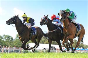  Tigerland goes on to win the Wangaratta Cup